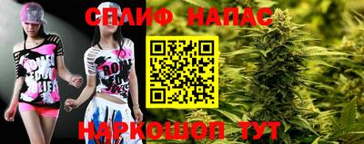 шишки Магадан