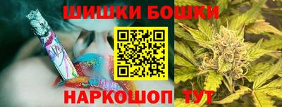 мдпв Славгород