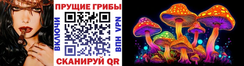 Псилоцибиновые грибы Psilocybine cubensis  Сызрань 