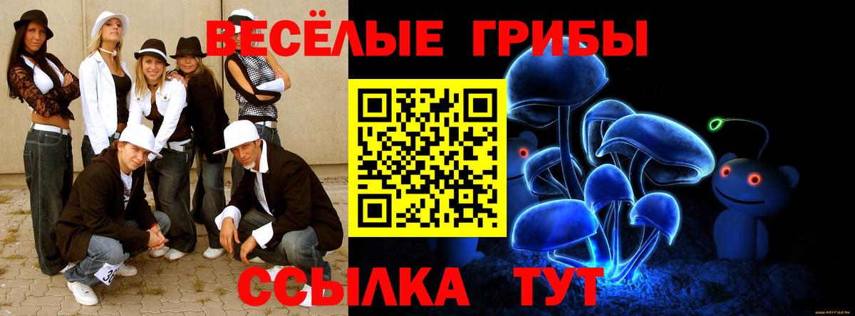Сызрань  наркотики  Вход с VPN  Галлюциногенные грибы Psilocybe 